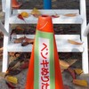 桜の樹の下に