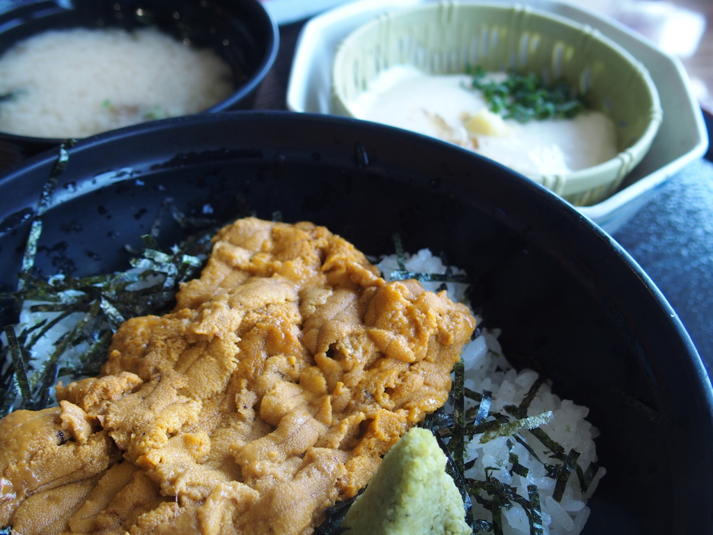 うに丼＋ざる豆腐