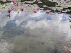 ようやく雨があがりました