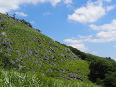 平尾台（貝殻山）