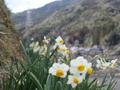 山あいの散歩道