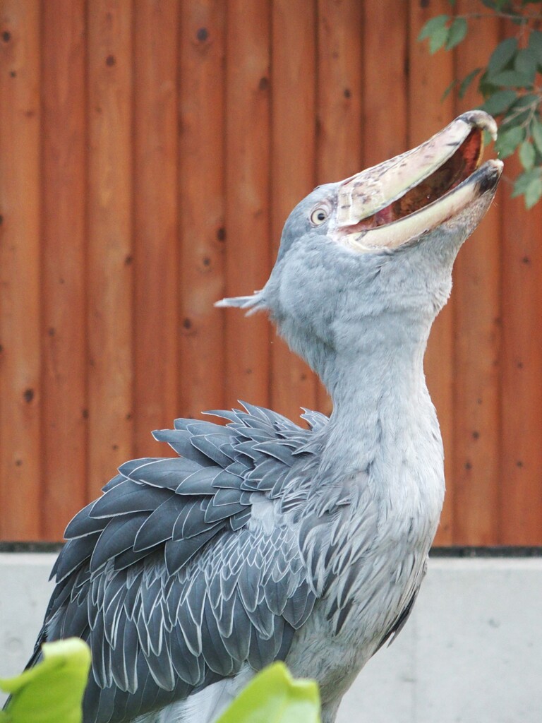 あ～、美味しかった♪