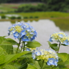 山あいの散歩道　6月