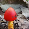 タマゴタケ