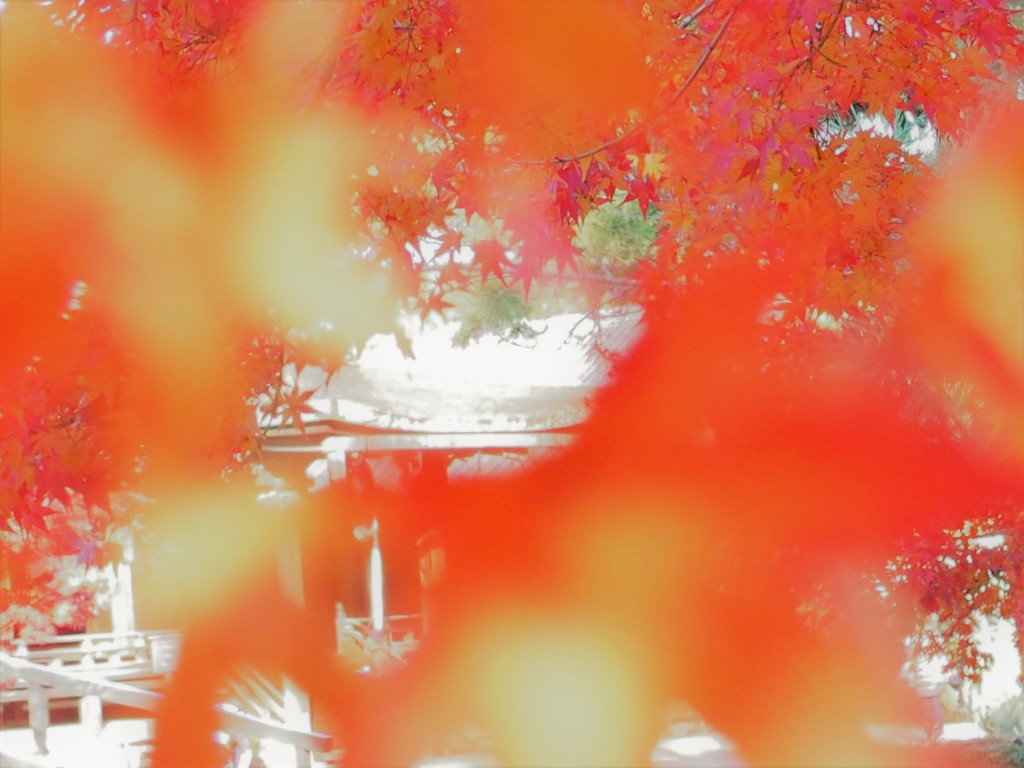 法隆寺紅葉　さん