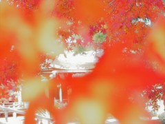法隆寺紅葉　さん