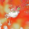 法隆寺紅葉　さん