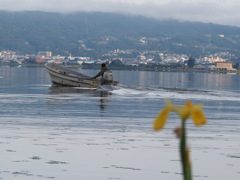 諏訪湖の朝