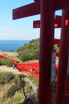 鳥居のトンネル