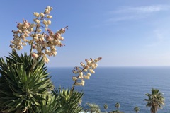 冬だから宮崎（キミガヨラン）