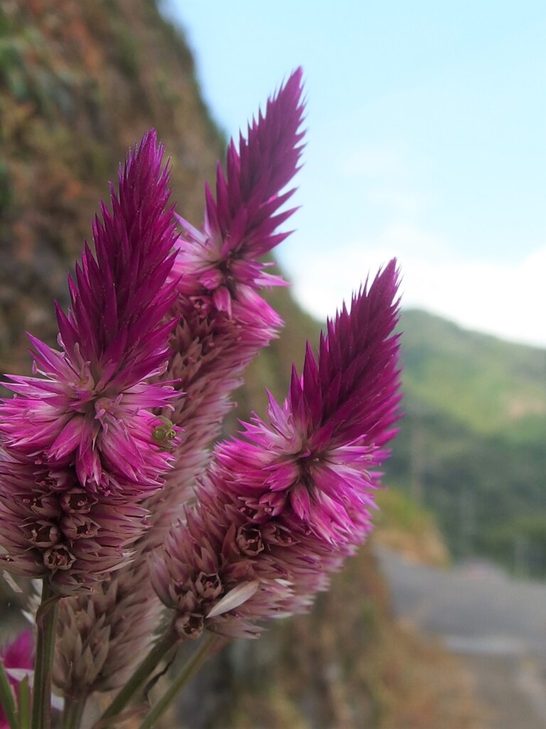 山あいの散歩道　10月