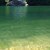 トンボの棲む池