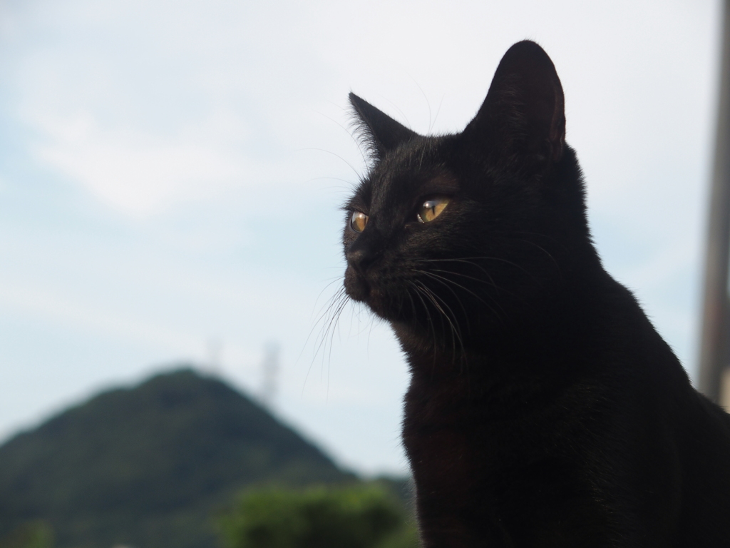 小さな旅　門司港１