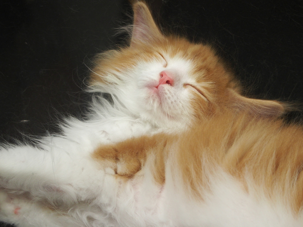 寝返りしてるだけだもんね～