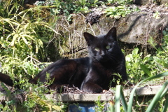 今はもう一人ぼっち