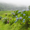 山あいの散歩道　6月ー3