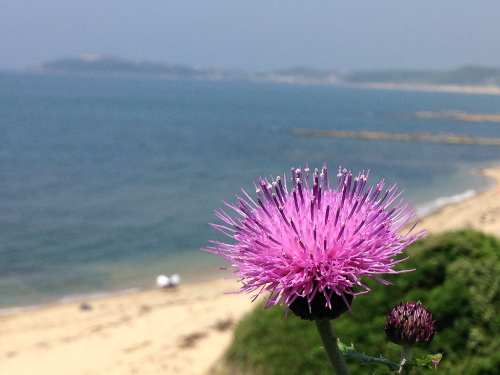 海風