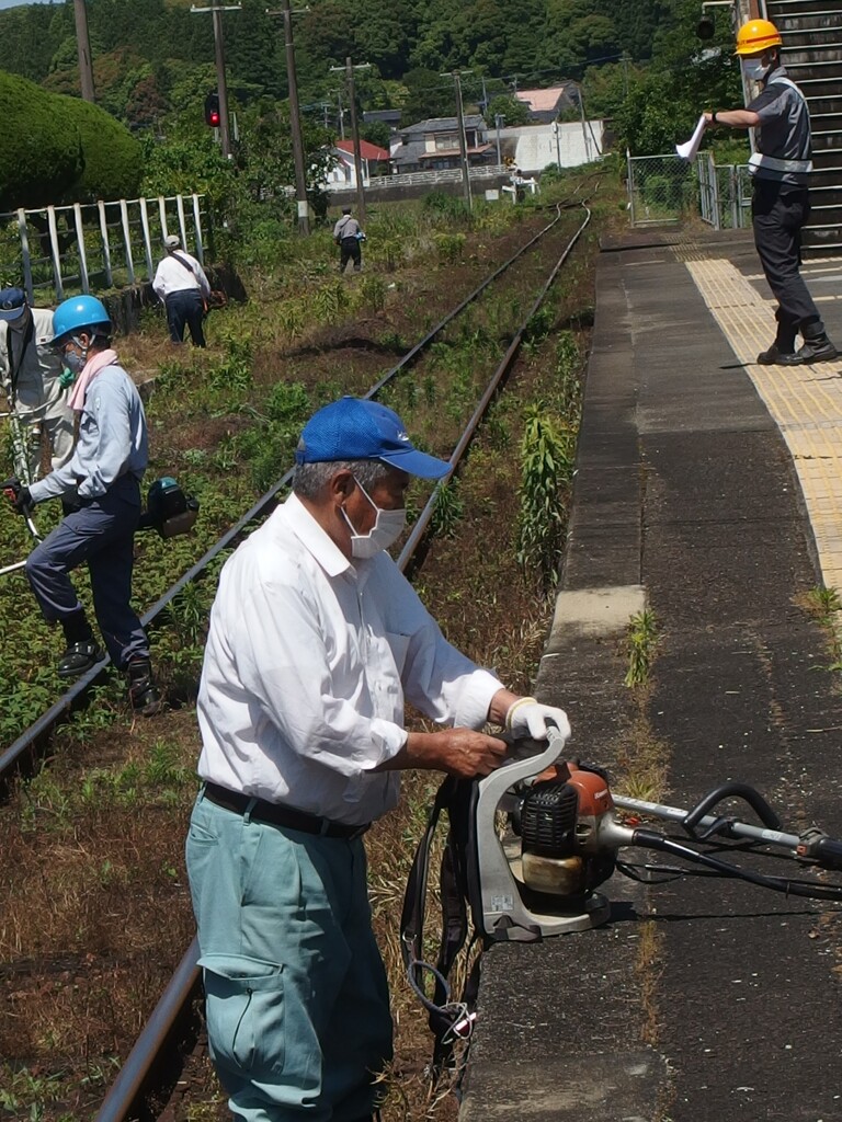 草刈りの日