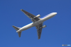 767