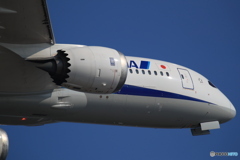 ANA 787