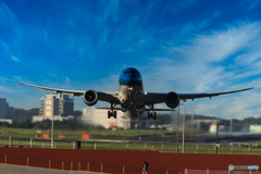 B787_VN