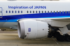 成田１タミ