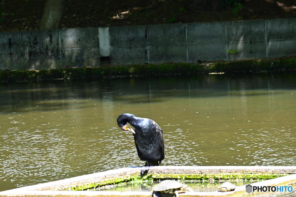昼下がりの会話
