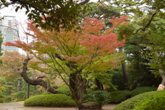 冬の始まり