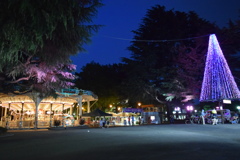 夜の遊園地