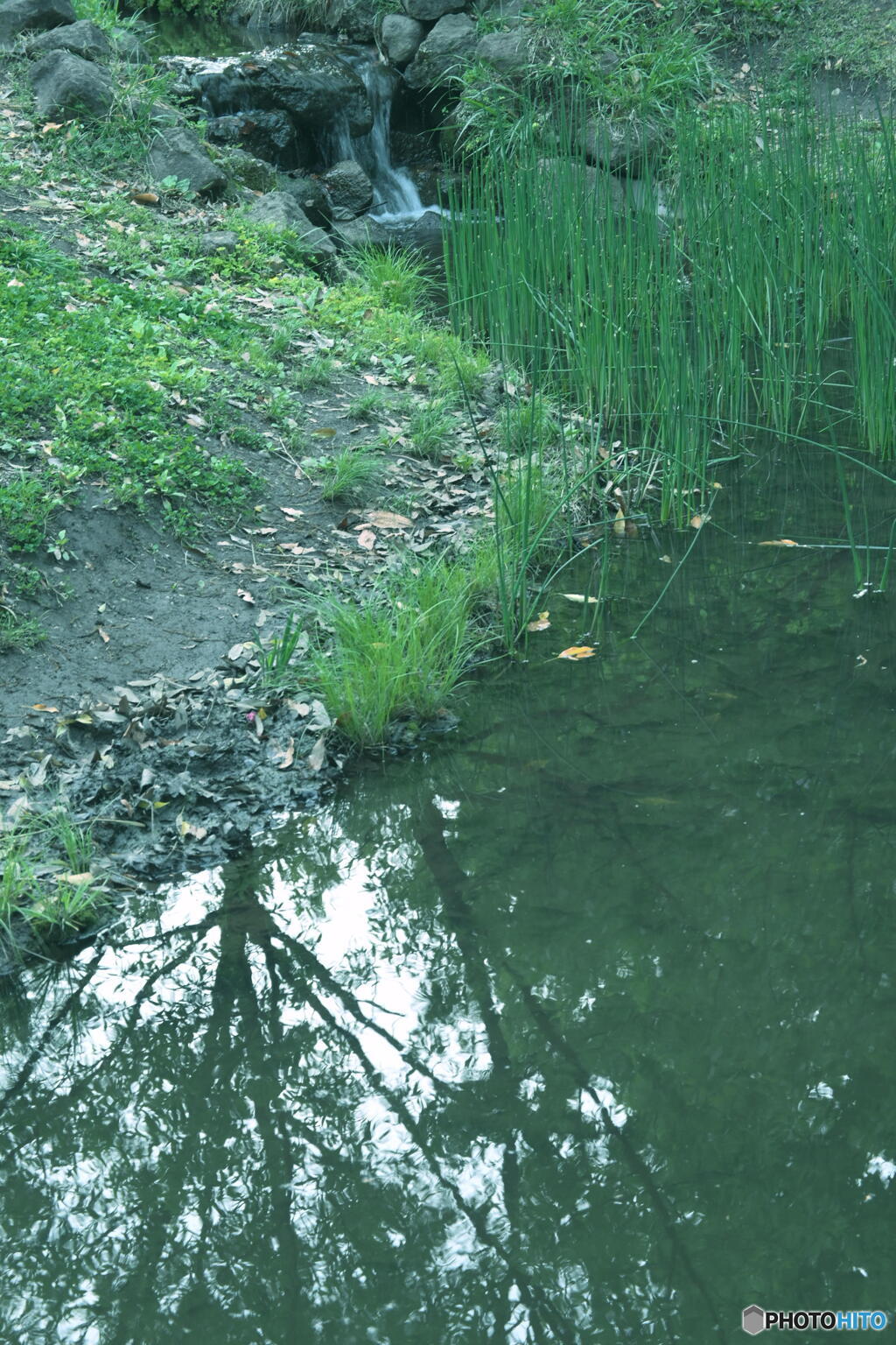 水辺の風景