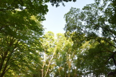 一日の始まり