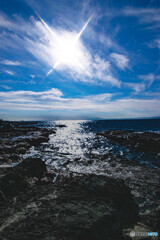 冬の海