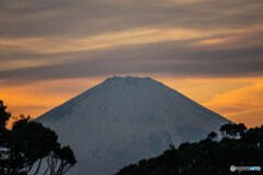 富士　夕景
