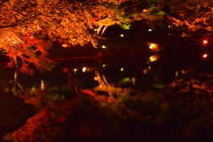 うつしよ