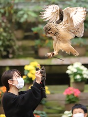 富士花鳥園