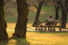 狭山公園
