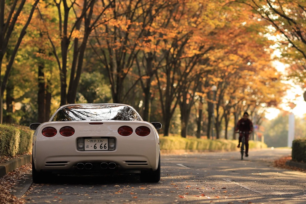 CHEVROLET CORVETTE