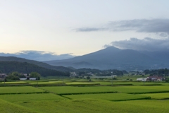 田んぼと安達太良山と