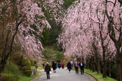 甲山ふれあいの里