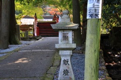 高野山