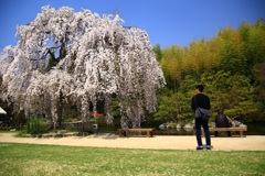 三景園