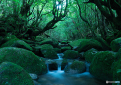 水が本当に素晴らしい島