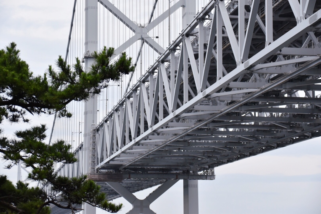 橋