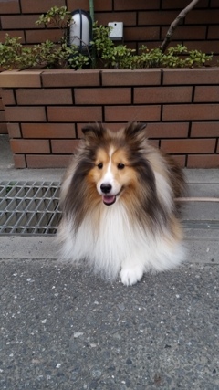 ティアナ玄関前にて
