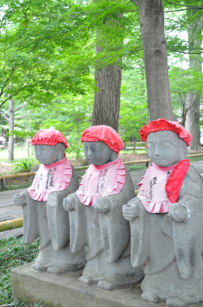 今日は涼しいかな・・・