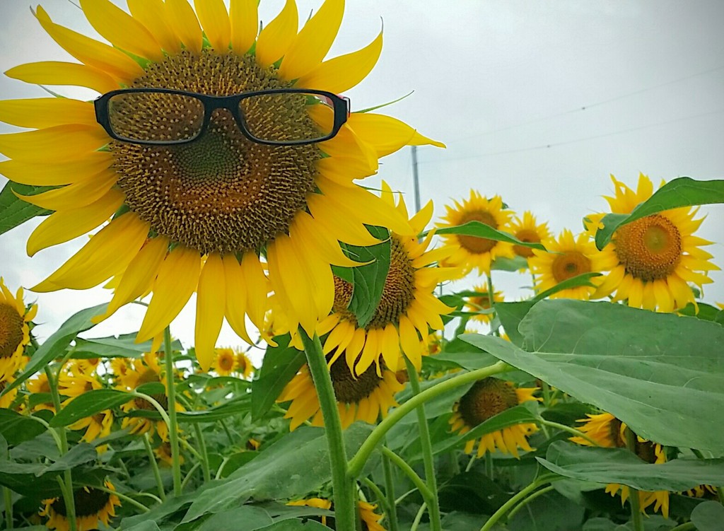 眩しいよ～