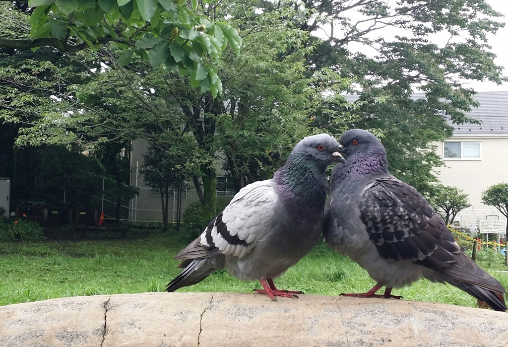 朝のご挨拶