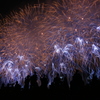 第33回市川市民納涼花火大会_1