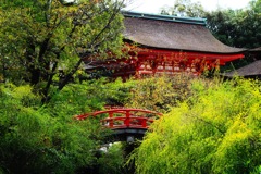 下鴨神社