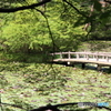長谷池